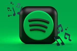 Spotify Matching screenshot